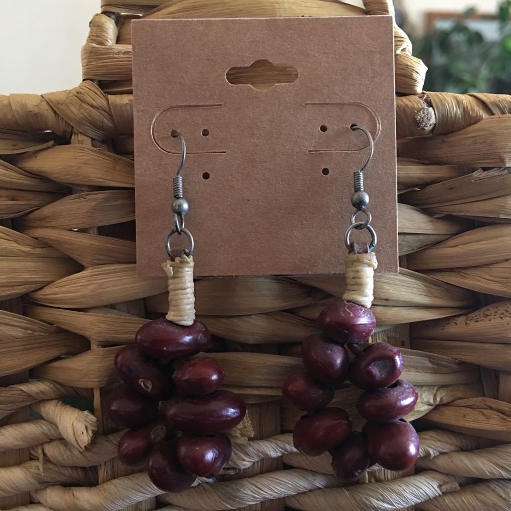 Boho natural bean dangle fish hook earrings - Picture 2 of 4